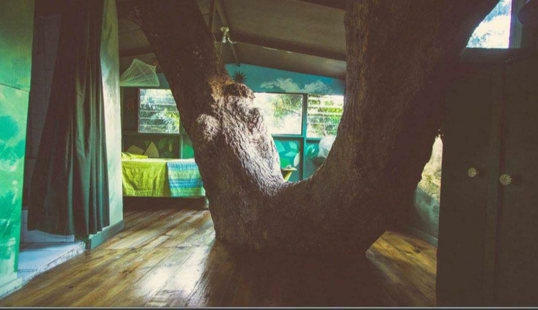 Prince Valley Guesthouse Irish Town 외부 사진